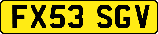 FX53SGV