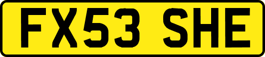 FX53SHE