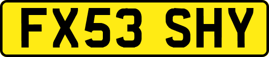 FX53SHY