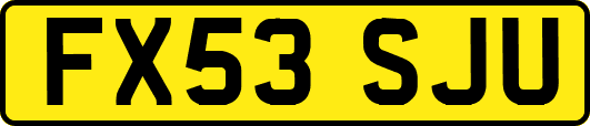 FX53SJU