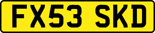 FX53SKD