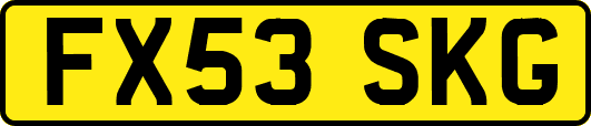 FX53SKG