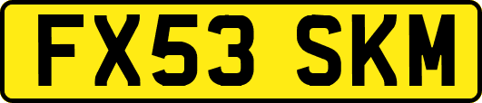 FX53SKM