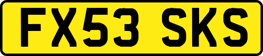 FX53SKS