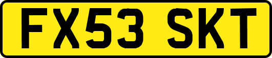 FX53SKT