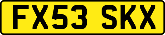 FX53SKX