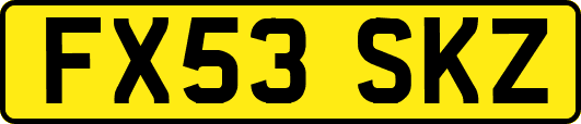 FX53SKZ