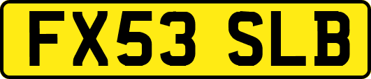 FX53SLB
