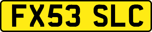 FX53SLC