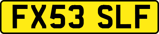 FX53SLF