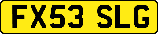 FX53SLG