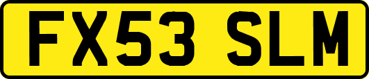 FX53SLM
