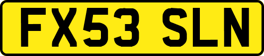 FX53SLN