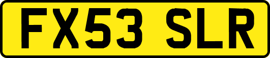 FX53SLR