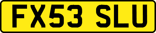 FX53SLU