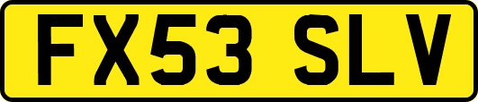 FX53SLV