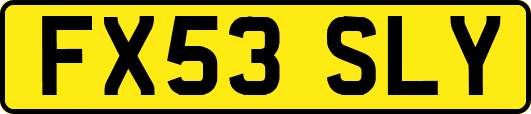 FX53SLY