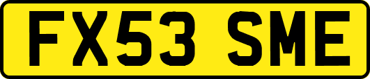 FX53SME