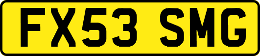 FX53SMG