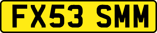 FX53SMM