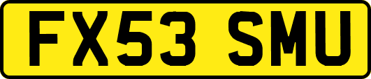 FX53SMU
