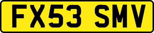 FX53SMV
