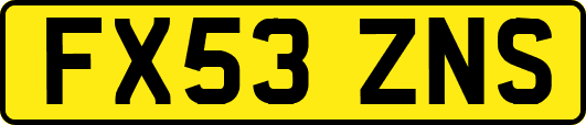 FX53ZNS
