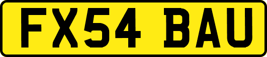 FX54BAU