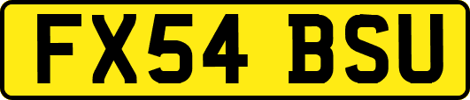 FX54BSU