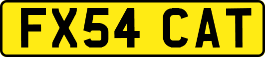 FX54CAT