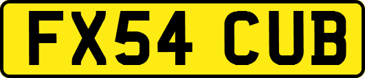 FX54CUB
