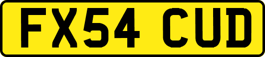 FX54CUD