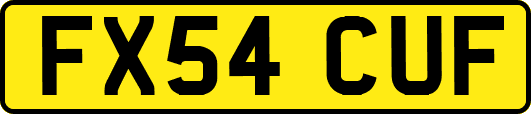 FX54CUF