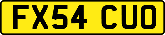 FX54CUO
