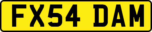 FX54DAM