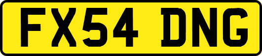 FX54DNG