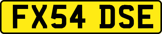 FX54DSE