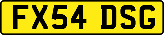 FX54DSG