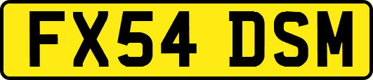 FX54DSM
