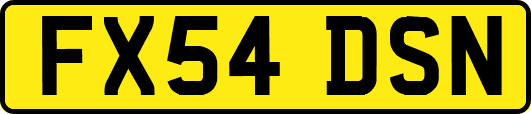 FX54DSN