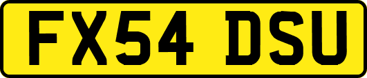 FX54DSU