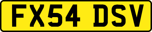 FX54DSV