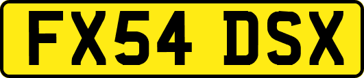 FX54DSX