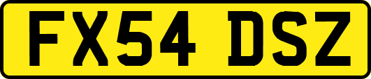 FX54DSZ