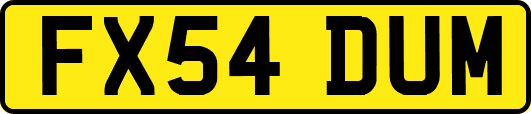 FX54DUM