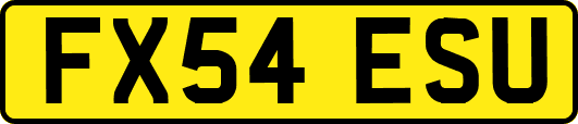 FX54ESU