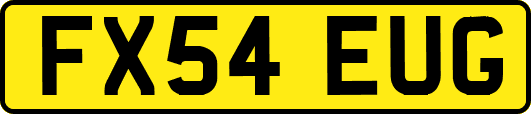 FX54EUG