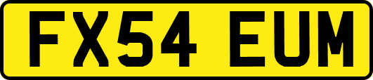 FX54EUM