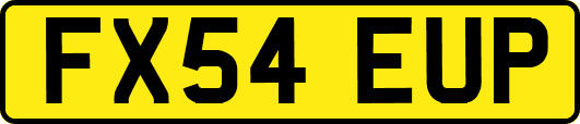 FX54EUP
