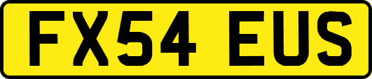 FX54EUS